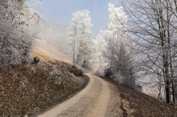 Картинка природа дороги иней