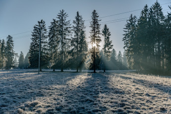 Картинка природа зима снег