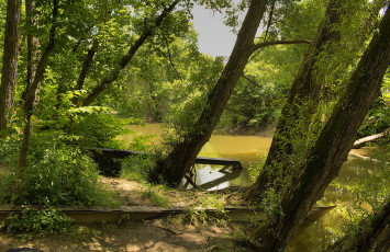 Картинка природа реки озера лес река