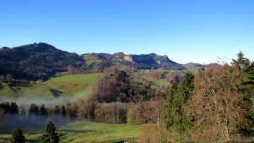 Картинка природа пейзажи лес холмы