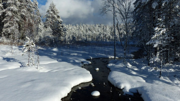 Картинка природа зима снег