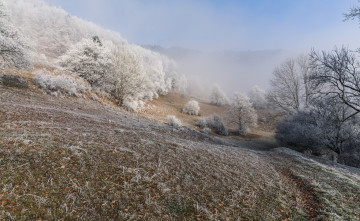 Картинка природа дороги иней