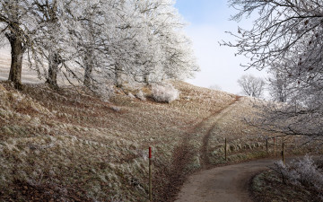 Картинка природа дороги иней
