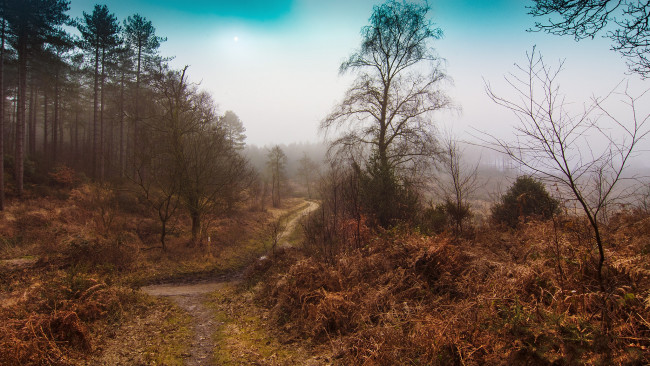 Обои картинки фото природа, дороги, дымка