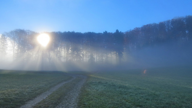 Обои картинки фото природа, дороги, туман, лес