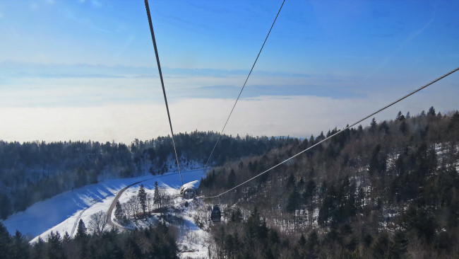 Обои картинки фото природа, пейзажи, снег, лес