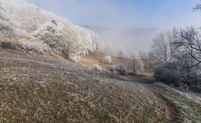 Обои картинки фото природа, дороги, иней