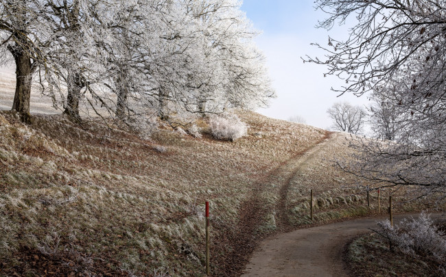 Обои картинки фото природа, дороги, иней