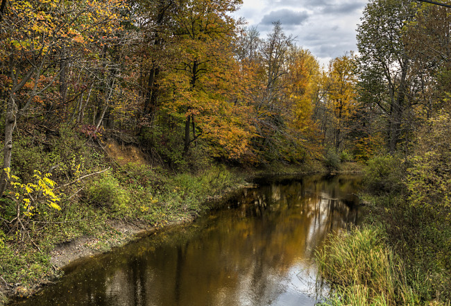 Обои картинки фото природа, реки, озера, река, лес