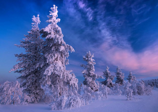 Картинка природа зима простор