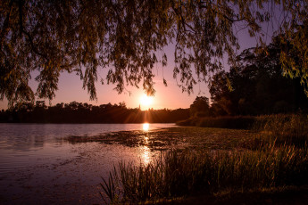 Картинка природа восходы закаты простор