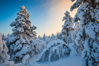 Картинка природа зима простор