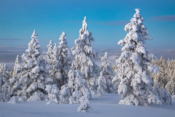 Картинка природа зима простор