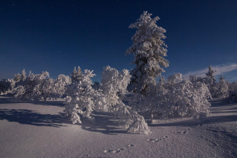 Картинка природа зима простор