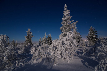 Картинка природа зима простор