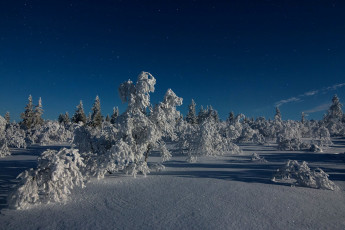 Картинка природа зима простор