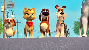 Картинка календари кино +мультфильмы 2018 взгляд собака