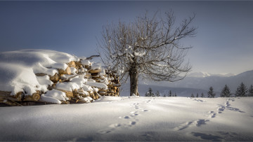 Картинка природа зима простор