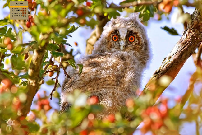 Обои картинки фото календари, компьютерный дизайн, листья, взгляд, птица, 2018