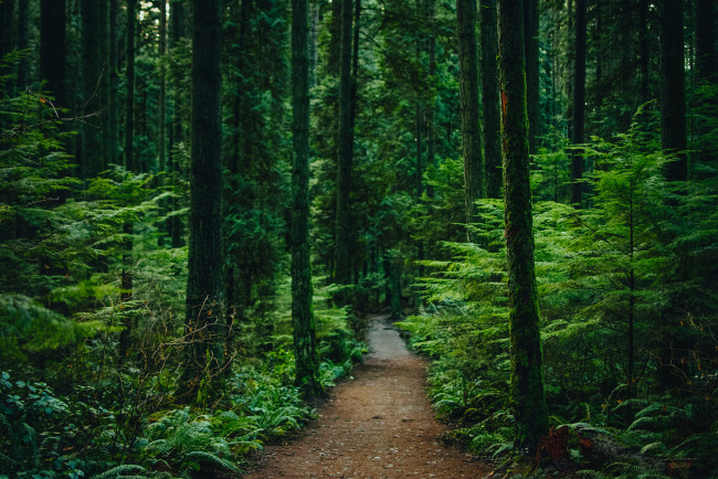 Обои картинки фото природа, дороги, простор