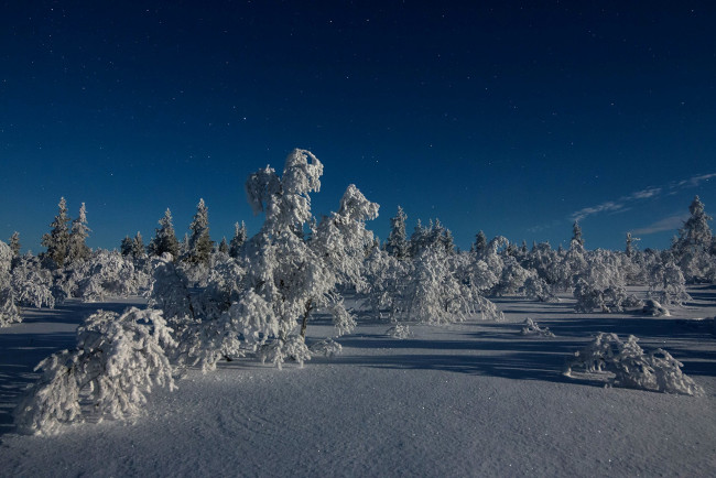 Обои картинки фото природа, зима, простор