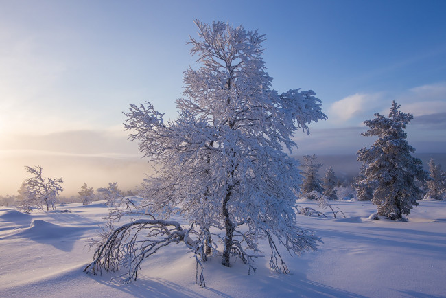 Обои картинки фото природа, зима, простор