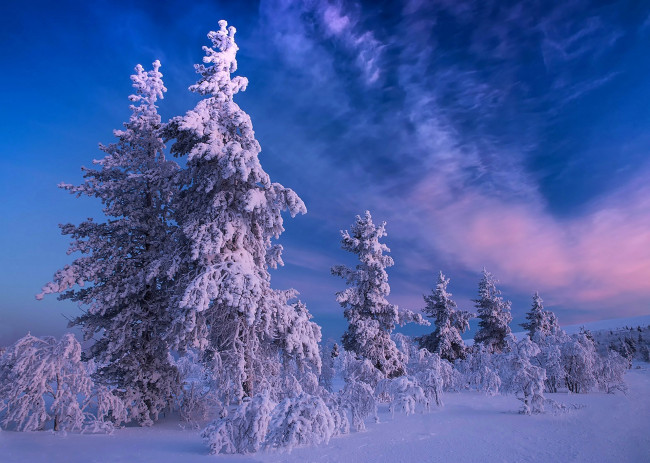 Обои картинки фото природа, зима, простор