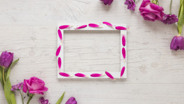 Картинка цветы разные+вместе рамка роза тюльпан лепестки