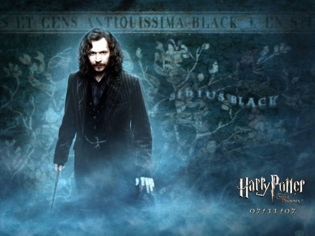 Обои картинки фото кино фильмы, harry potter and the order of the phoenix, гобелен, сириус, блэк