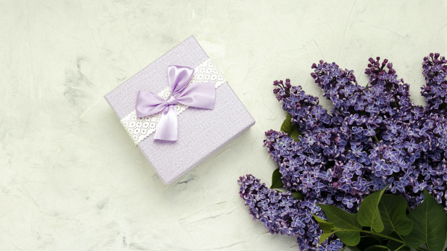 Обои картинки фото праздничные, подарки и коробочки, бант, лента, подарок, сирень