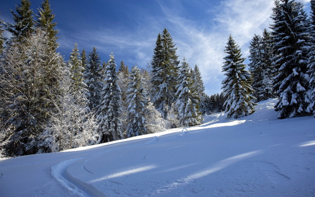 Обои картинки фото природа, зима, снег, сугробы