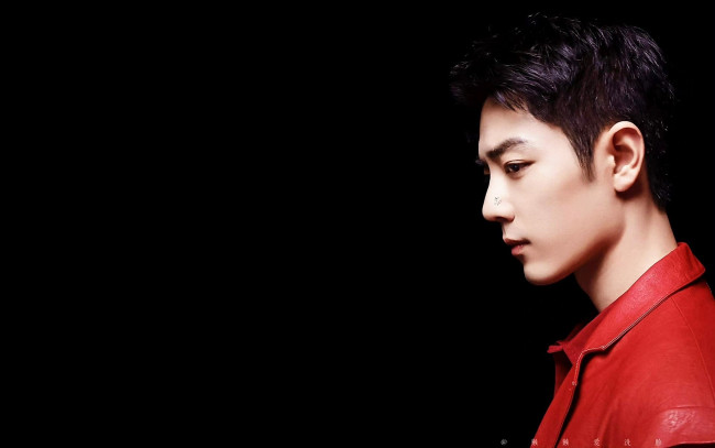 Обои картинки фото мужчины, xiao zhan, лицо, куртка