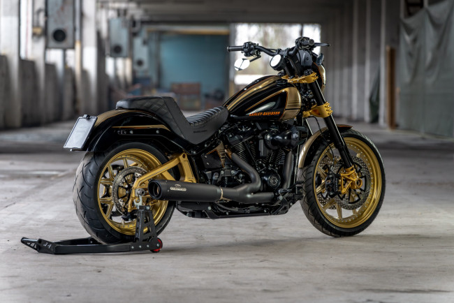 Обои картинки фото мотоциклы, harley-davidson, low, rider, s, customized, thunderbike, trp-pro