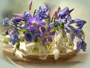 Картинка цветы букеты композиции