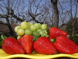 Картинка еда фрукты ягоды