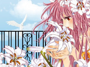 Картинка аниме kobato