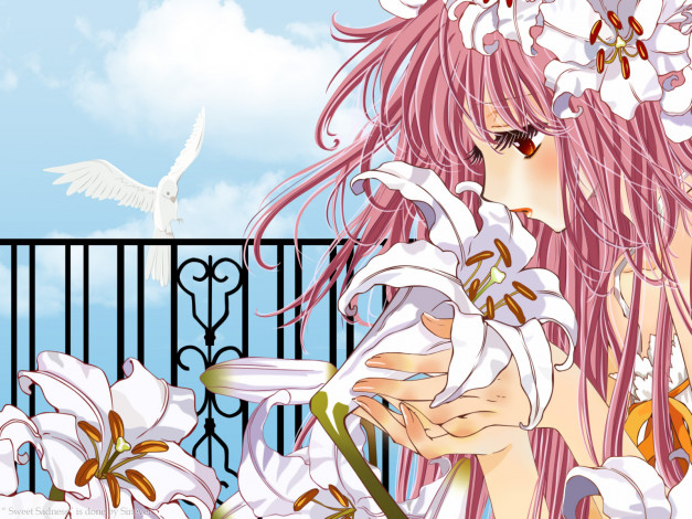 Обои картинки фото аниме, kobato