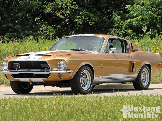 Обои картинки фото автомобили, mustang