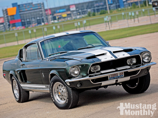 Обои картинки фото автомобили, mustang