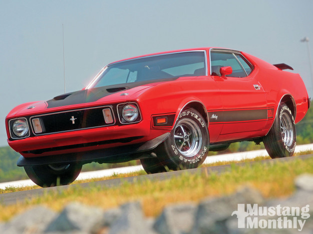 Обои картинки фото автомобили, mustang