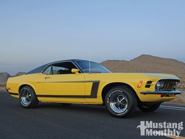 Обои картинки фото автомобили, mustang