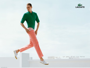 Картинка бренды lacoste