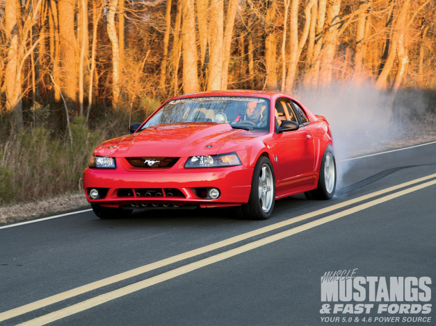 Обои картинки фото 1999, steeda, cobra, автомобили, mustang