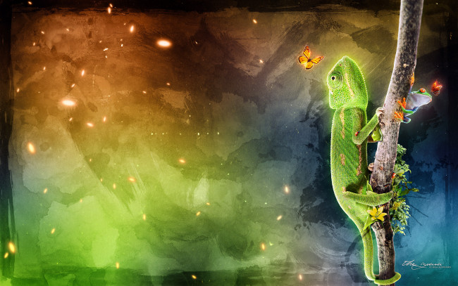 Обои картинки фото животные, хамелеоны