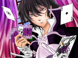 Картинка аниме pandora hearts gilbert nightray