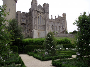 Картинка города дворцы замки крепости замок кусты розы