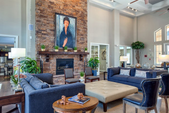 Картинка интерьер гостиная камин диваны картина