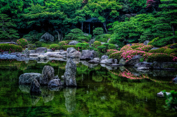 Картинка природа парк пруд камни растения дорожка