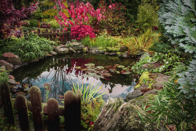 Обои картинки фото природа, парк, пруд, зелень