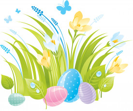 Картинка векторная+графика цветы+ flowers цветы бабочки